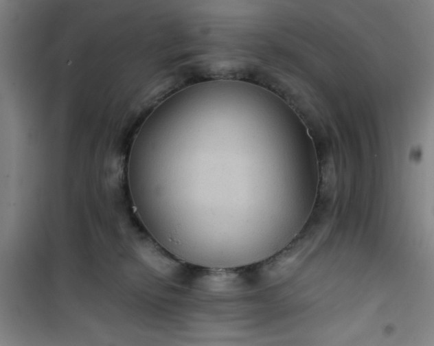 X0000101140278200807110949