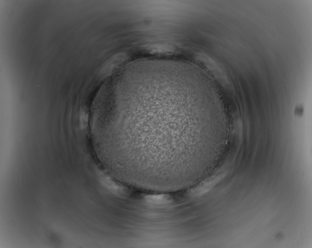 X0000101140281200807110949