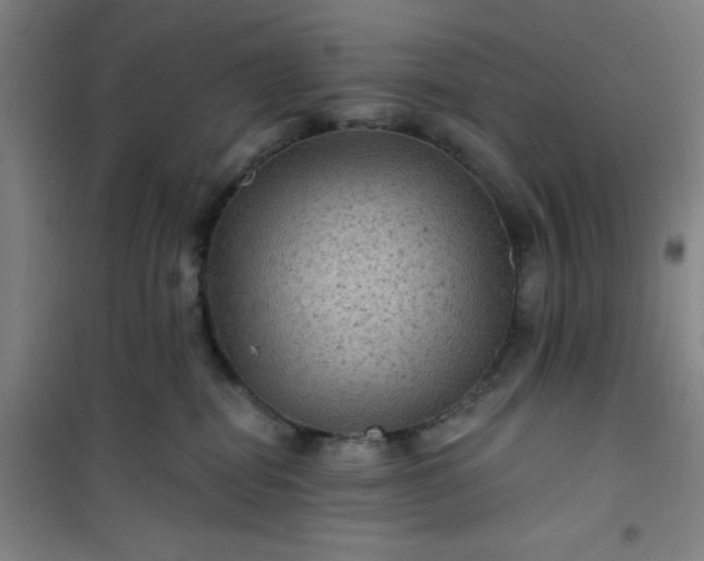 X0000101140282200807110950