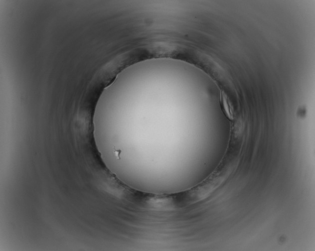 X0000101140283200807110950