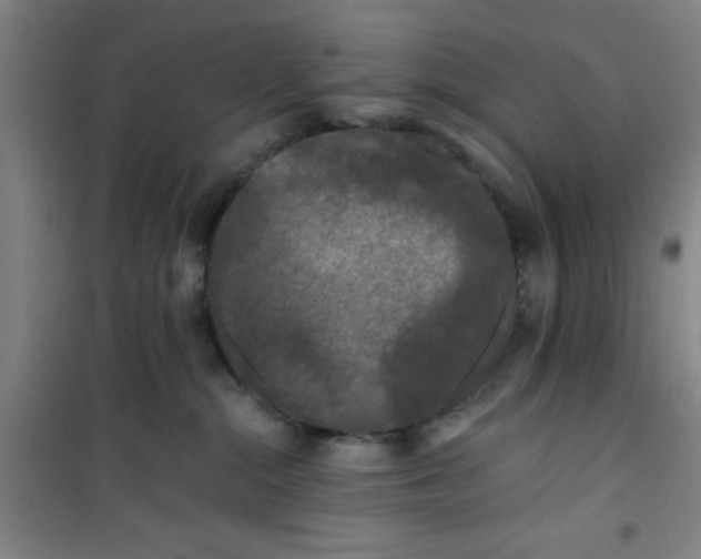 X0000101140284200807110950