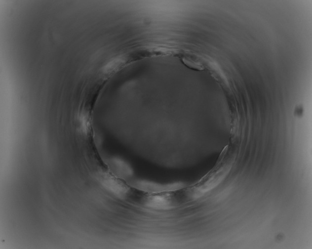 X0000101140285200807110950