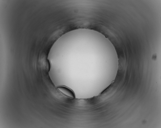 X0000101140287200807110950