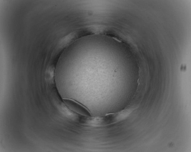 X0000101140288200807110950