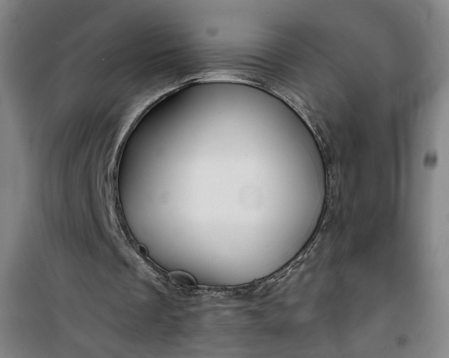 X0000101140289200807110949