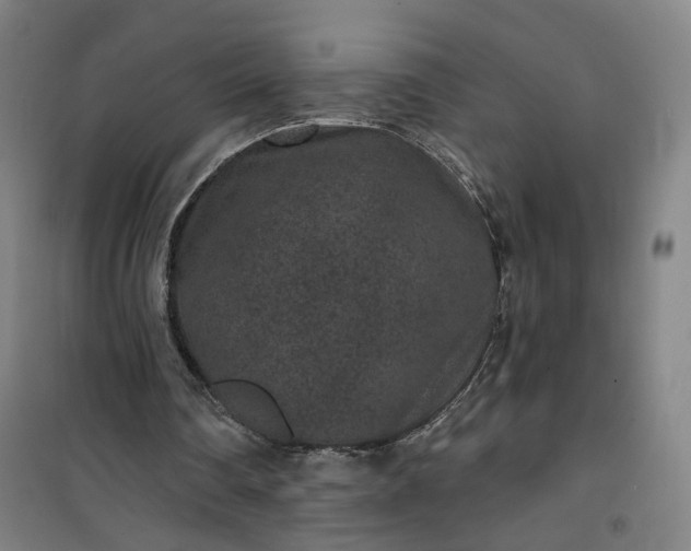 X0000101140290200807110949