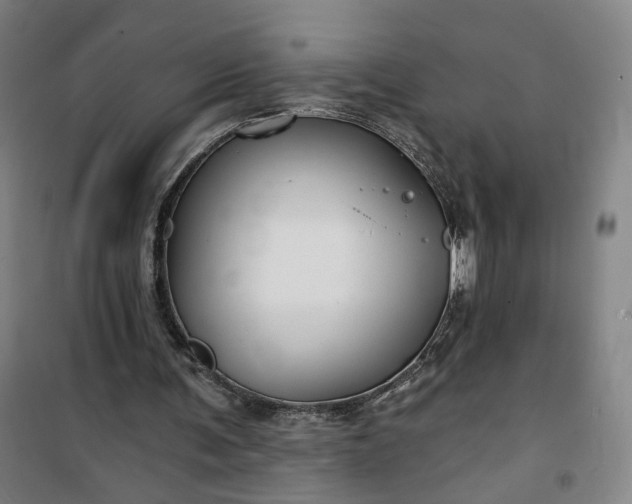 X0000101140291200807110949