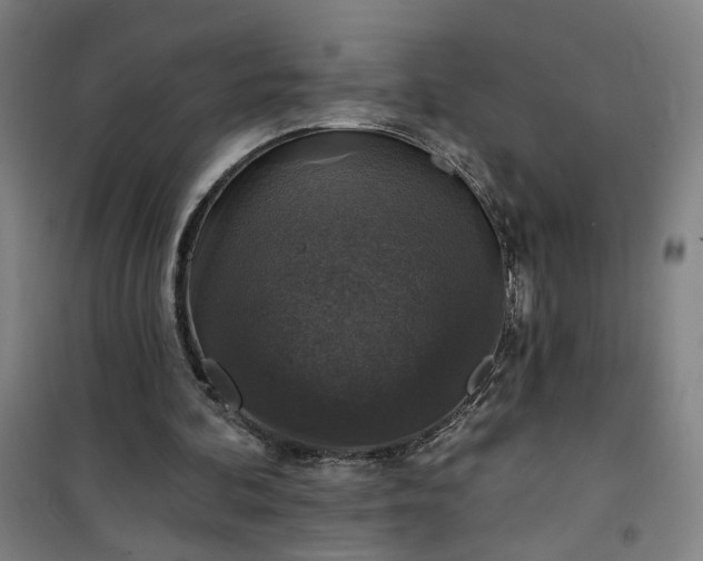 X0000101140292200807110949