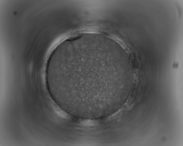 X0000101140293200807110949