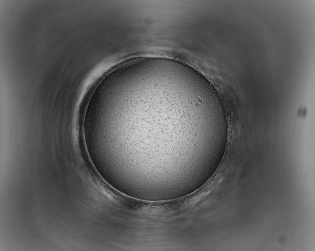 X0000101140294200807110949