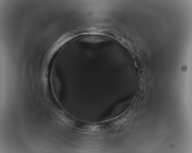 X0000101140295200807110949