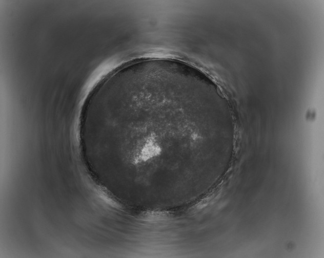 X0000101140296200807110949