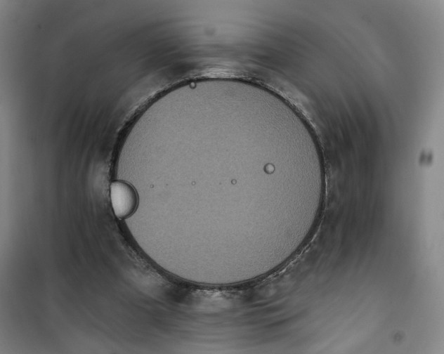 X0000101140297200807110949