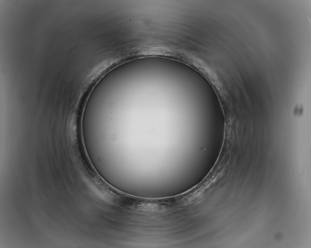 X0000101140298200807110949