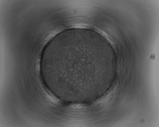 X0000101140299200807110949