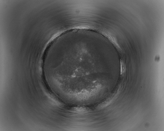 X0000101140300200807110949