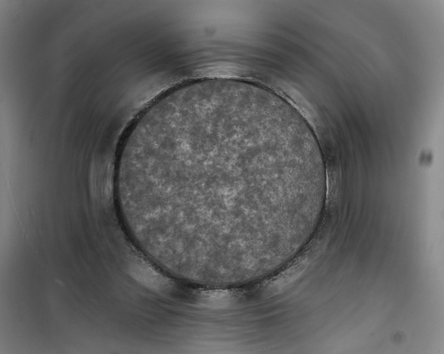 X0000101140301200807110949