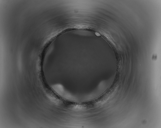 X0000101140303200807110949