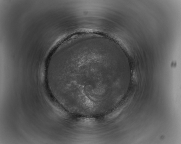 X0000101140304200807110949