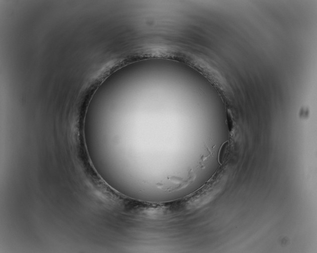 X0000101140306200807110949