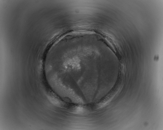 X0000101140308200807110949