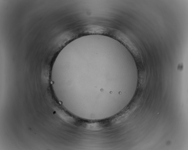 X0000101140309200807110949