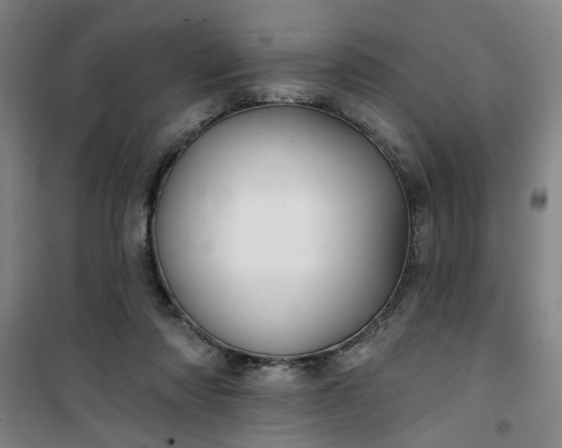 X0000101140310200807110949