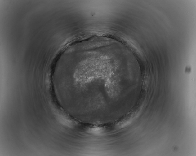 X0000101140312200807110949