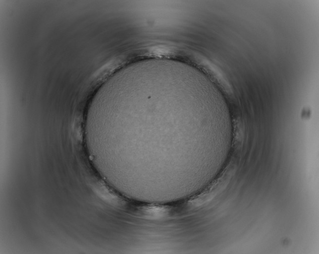 X0000101140313200807110949