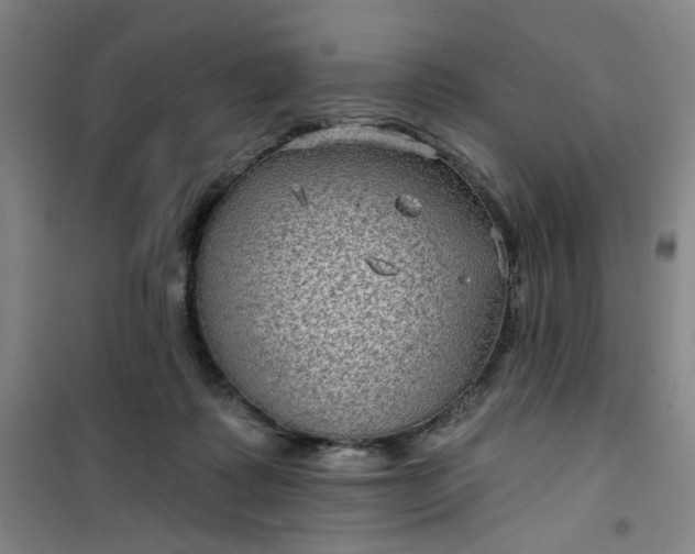 X0000101140315200807110949