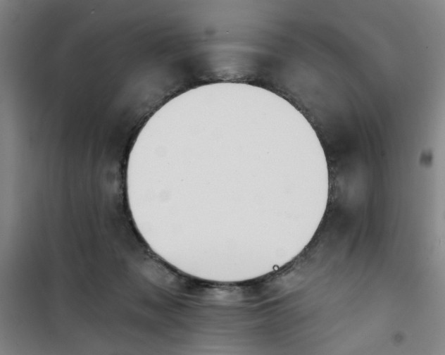 X0000101140317200807110949