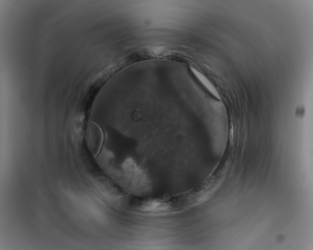 X0000101140319200807110948