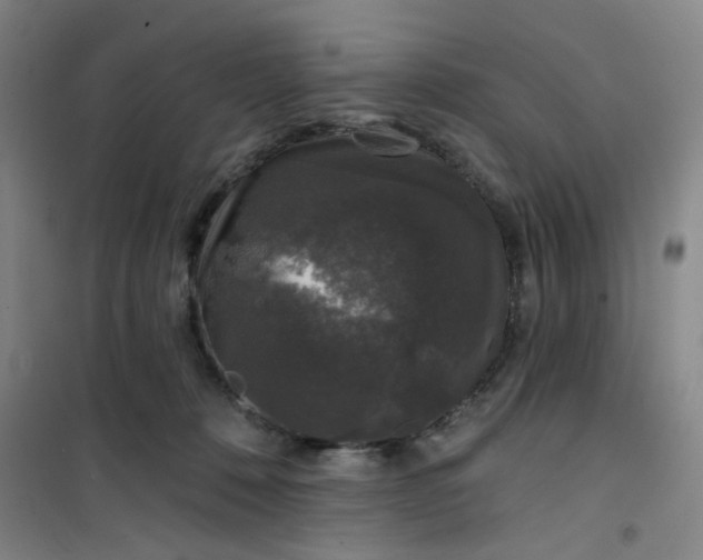 X0000101140320200807110948