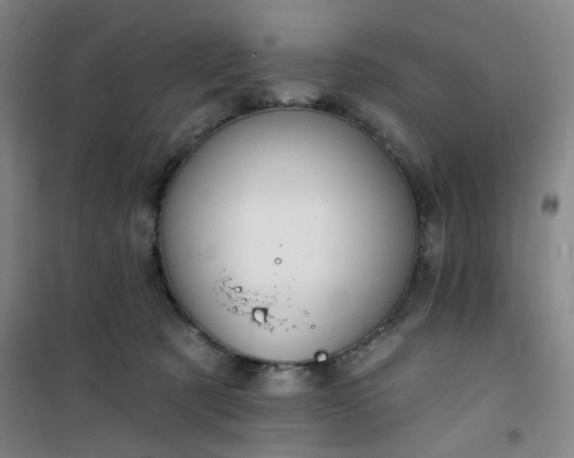 X0000101140321200807110948