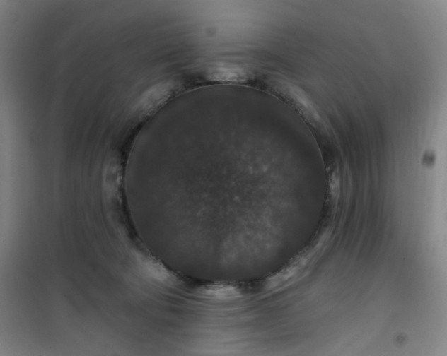 X0000101140322200807110948