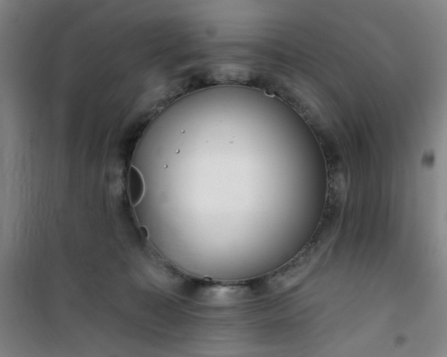 X0000101140323200807110948