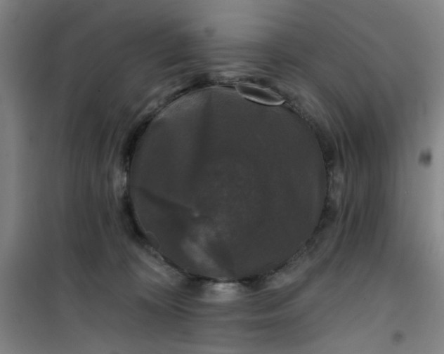 X0000101140324200807110948