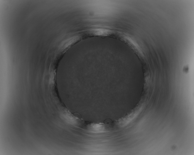 X0000101140325200807110948