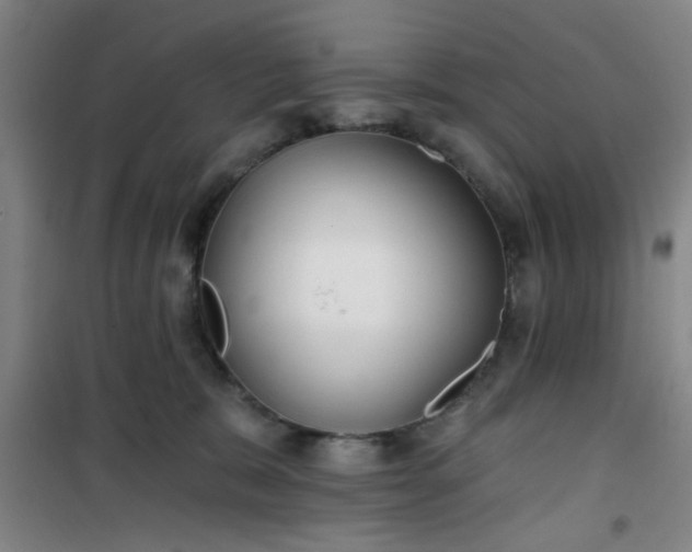 X0000101140327200807110948