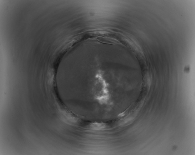 X0000101140328200807110948