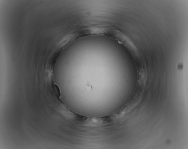 X0000101140329200807110948