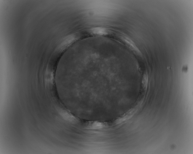 X0000101140330200807110948