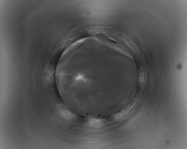 X0000101140332200807110948