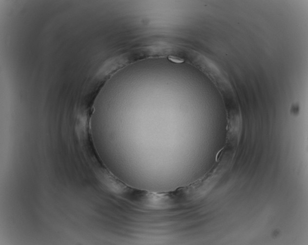 X0000101140333200807110948