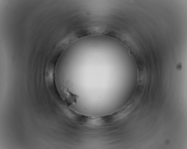 X0000101140334200807110948