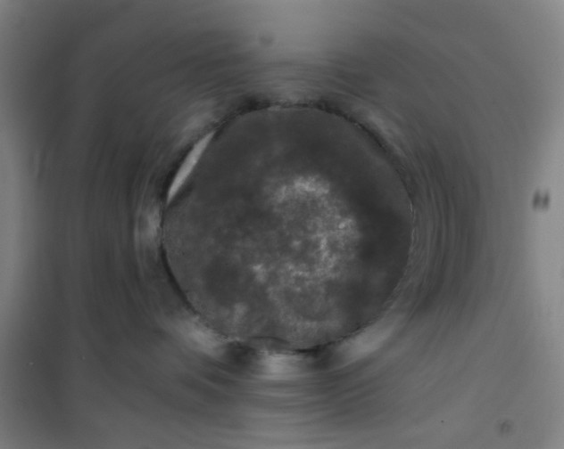 X0000101140336200807110948