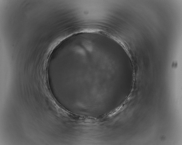 X0000101140337200807110948