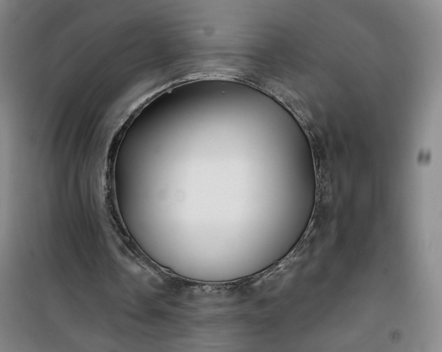 X0000101140338200807110948