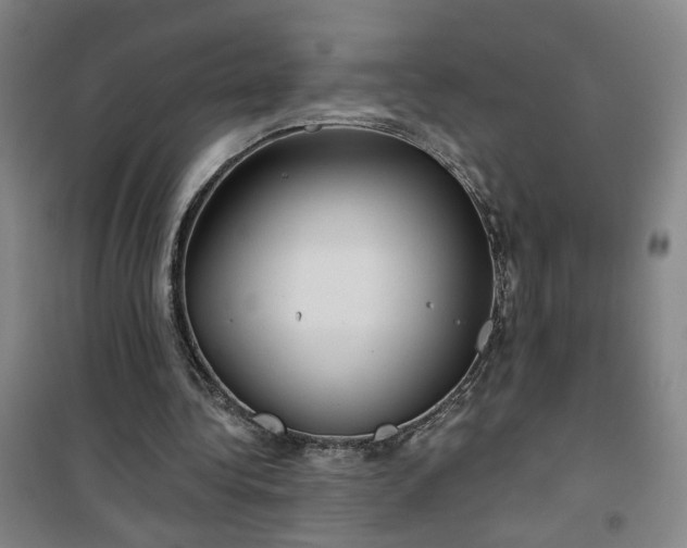 X0000101140340200807110948