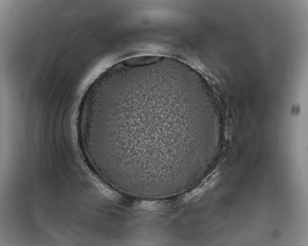 X0000101140341200807110948